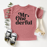 1st Birthday Boy Onesie, Mr. One-derful Shirt, One Year Old Shirt, First Birthday T-Shirt - Nesta Tees