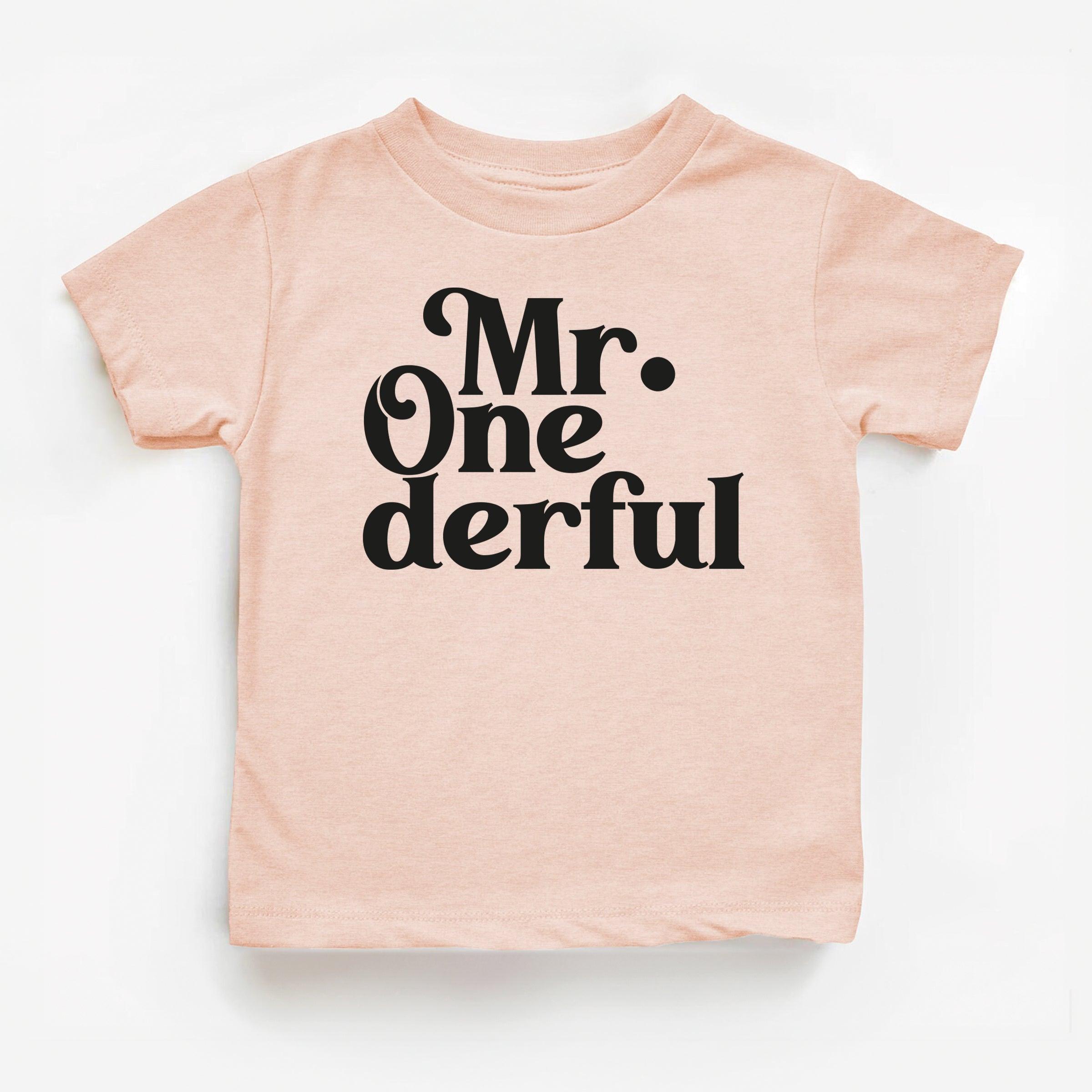 1st Birthday Boy Onesie, Mr. One-derful Shirt, One Year Old Shirt, First Birthday T-Shirt - Nesta Tees