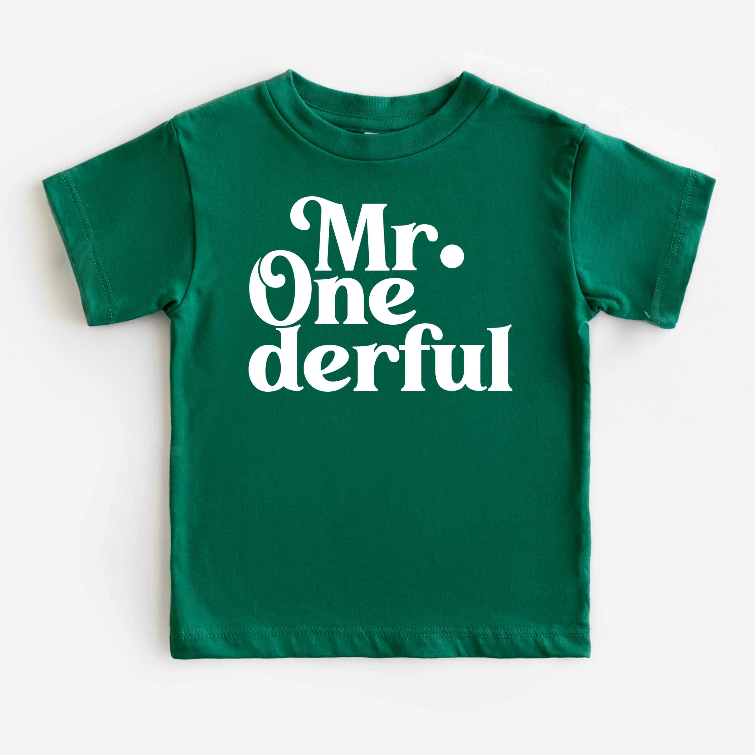 1st Birthday Boy Onesie, Mr. One-derful Shirt, One Year Old Shirt, First Birthday T-Shirt - Nesta Tees