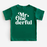1st Birthday Boy Onesie, Mr. One-derful Shirt, One Year Old Shirt, First Birthday T-Shirt - Nesta Tees