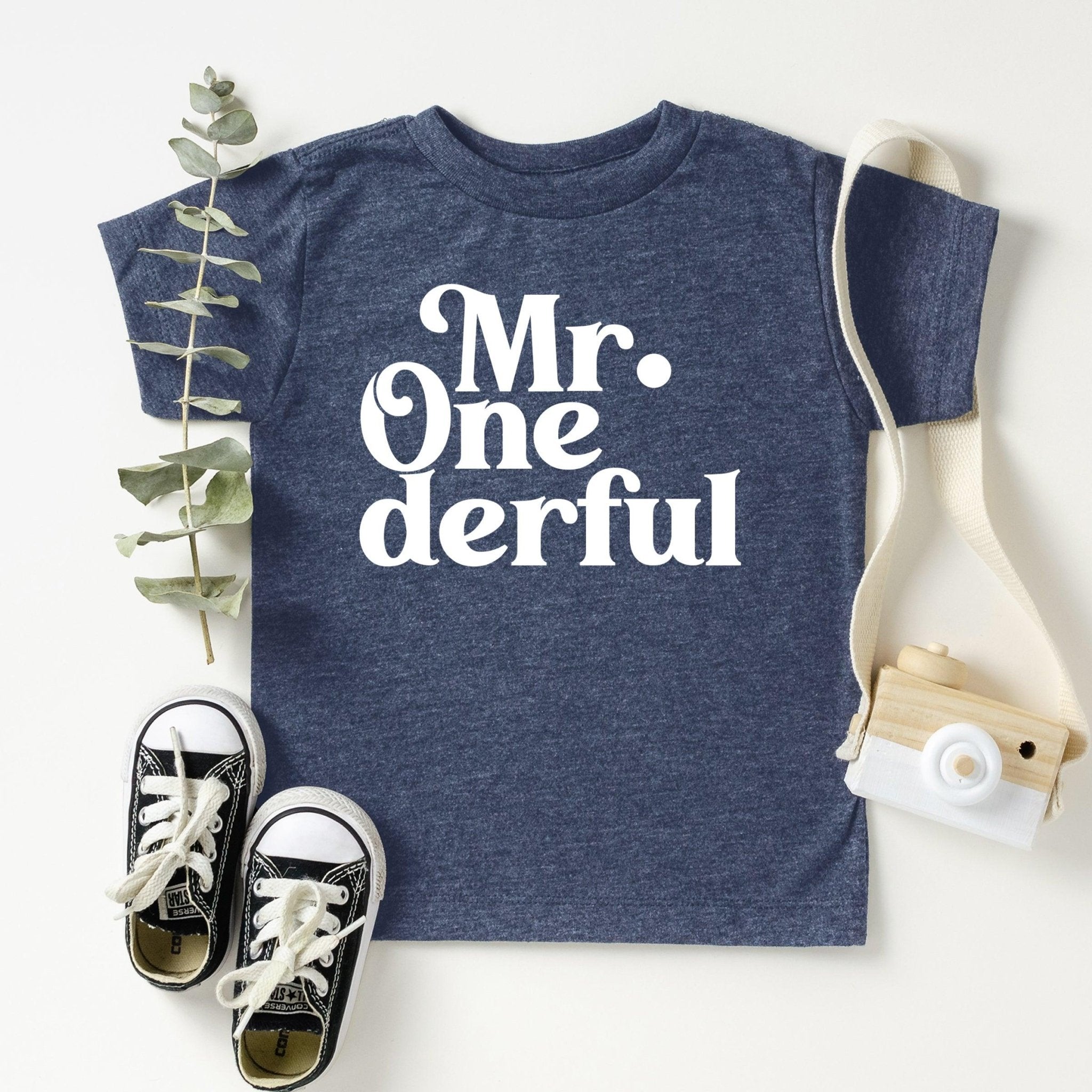1st Birthday Boy Onesie, Mr. One-derful Shirt, One Year Old Shirt, First Birthday T-Shirt - Nesta Tees