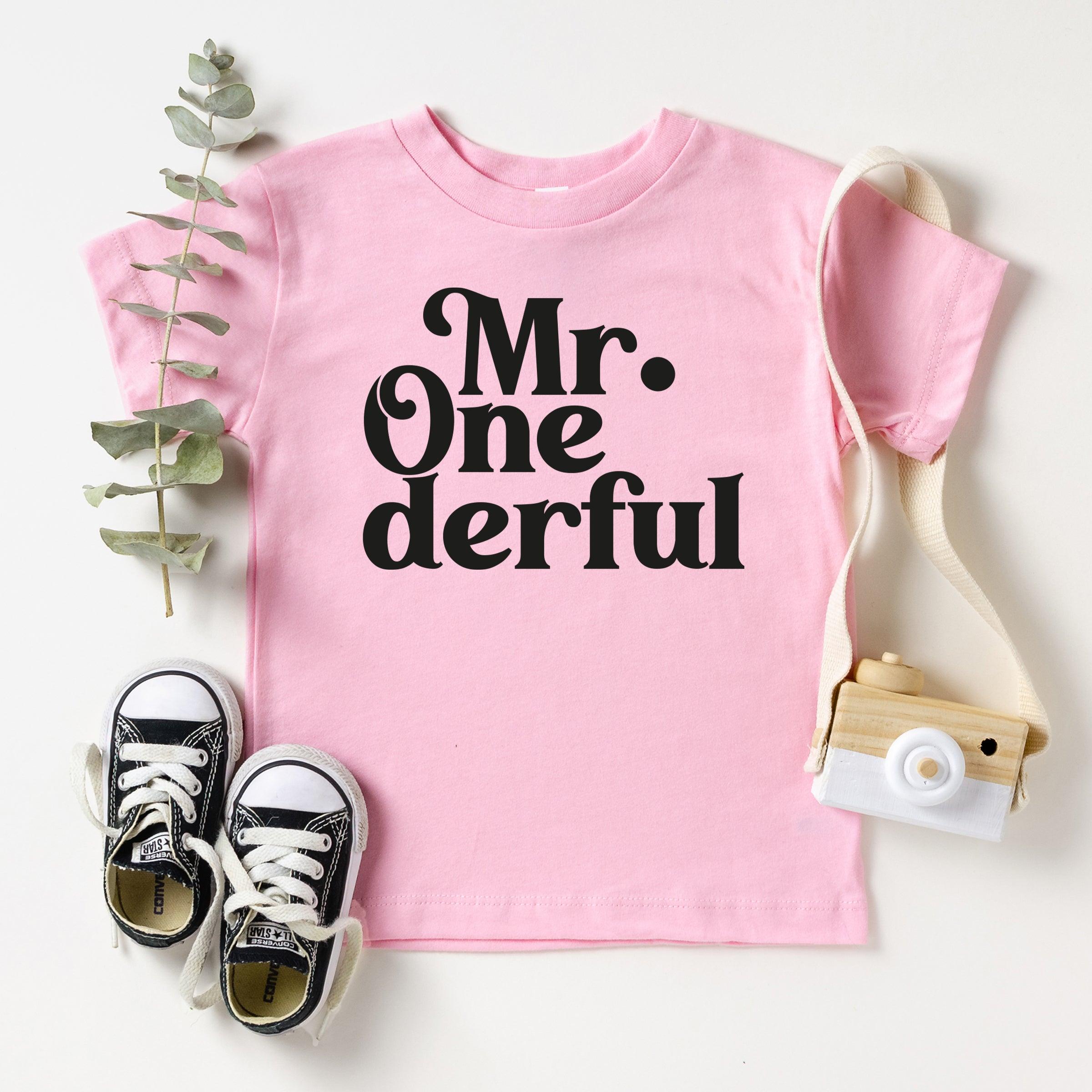 1st Birthday Boy Onesie, Mr. One-derful Shirt, One Year Old Shirt, First Birthday T-Shirt - Nesta Tees