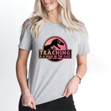 Teaching is a Walk in Park T Shirt, Teacher Appreciation Shirt, Teacher Tee, School Shirt