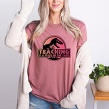 Teaching is a Walk in Park T Shirt, Teacher Appreciation Shirt, Teacher Tee, School Shirt