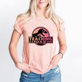 Teaching is a Walk in Park T Shirt, Teacher Appreciation Shirt, Teacher Tee, School Shirt