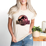 Teaching is a Walk in Park T Shirt, Teacher Appreciation Shirt, Teacher Tee, School Shirt