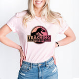 Teaching is a Walk in Park T Shirt, Teacher Appreciation Shirt, Teacher Tee, School Shirt