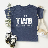 Dinosaur Birthday T-Shirt, Kids Birthday Shirt, T-Rex Birthday Tee, Dino First Birthday Tee