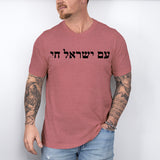 Happy Hanukkah Shirt, Shine and Bright Like a Menorah, Hanukkah Shirt