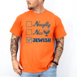 Naughty Nice Jewish Shirt, Happy Hanukkah Shirt, Judaism Shirt