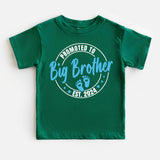 Promoted To Big Sister T-Shirt, Baby Announcement Shirt, Baby Coming Shirt