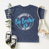 Promoted To Big Sister T-Shirt, Baby Announcement Shirt, Baby Coming Shirt