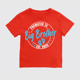Promoted To Big Sister T-Shirt, Baby Announcement Shirt, Baby Coming Shirt