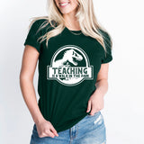 Teaching Is A Walk In The Park Shirt, Dinosaur Teacher Tee, Back To School Shirt