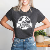 Teaching Is A Walk In The Park Shirt, Dinosaur Teacher Tee, Back To School Shirt
