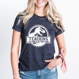 Teaching Is A Walk In The Park Shirt, Dinosaur Teacher Tee, Back To School Shirt