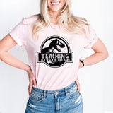 Teaching Is A Walk In The Park Shirt, Dinosaur Teacher Tee, Back To School Shirt