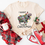 I Want A Hippopotamus For Christmas Shirt, Hippo Christmas Lights Shirt