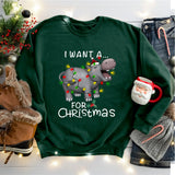 I Want A Hippopotamus For Christmas Shirt, Hippo Christmas Lights Shirt
