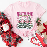 North Pole Farm Fresh Christmas Sweatshirt, Pink Christmas Coquette Shirt