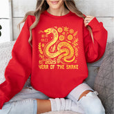 Year Of The Snake 2025 Shirt, Happy Chinese Snake Year 2025 Shirt, 2025 Chinese new year shirt