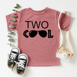 Two Cool Tee, 2nd Birthday T-Shirt, 2 Years Old Shirt, Boys Birthday Shirt