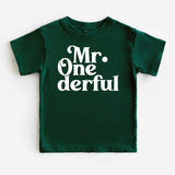 1st Birthday Boy Onesie, Mr. One-derful Shirt, One Year Old Shirt, First Birthday T-Shirt - Nesta Tees