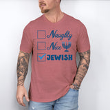 Naughty Nice Jewish Shirt, Happy Hanukkah Shirt, Judaism Shirt