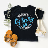 Promoted To Big Sister T-Shirt, Baby Announcement Shirt, Baby Coming Shirt