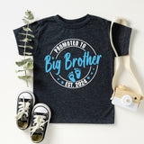 Promoted To Big Sister T-Shirt, Baby Announcement Shirt, Baby Coming Shirt