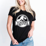 Teaching Is A Walk In The Park Shirt, Dinosaur Teacher Tee, Back To School Shirt