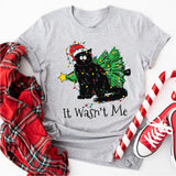 It Wasn't Me Cat Sweatshirt, Christmas Black Cat Sweatshirt