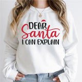 Dear Santa I Can Explain Shirt, Merry Christmas Shirt